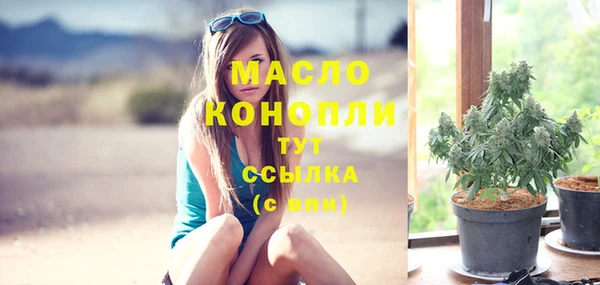 индика Балабаново