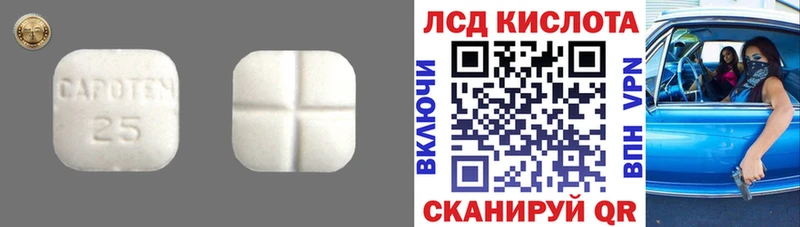 закладки  hydra как войти  ЛСД экстази кислота  Шацк 