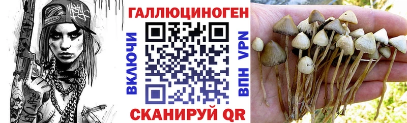 Галлюциногенные грибы Psilocybe  Шацк 